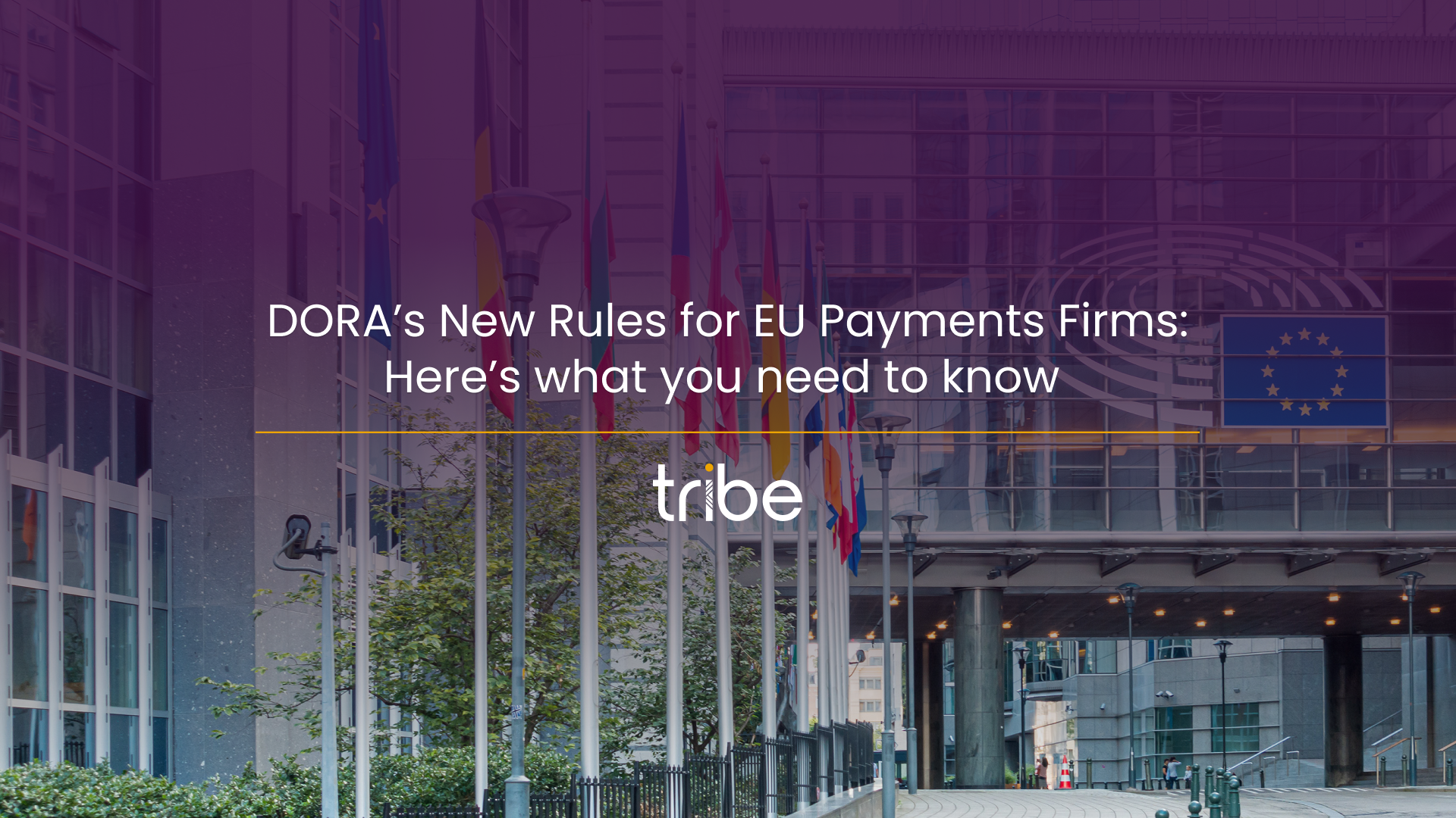 DORA’s New Rules for EU Payments Firms: Here’s what you need to know