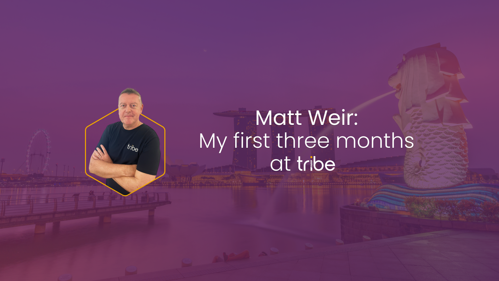 Matt Weir: My first three months at Tribe Payments