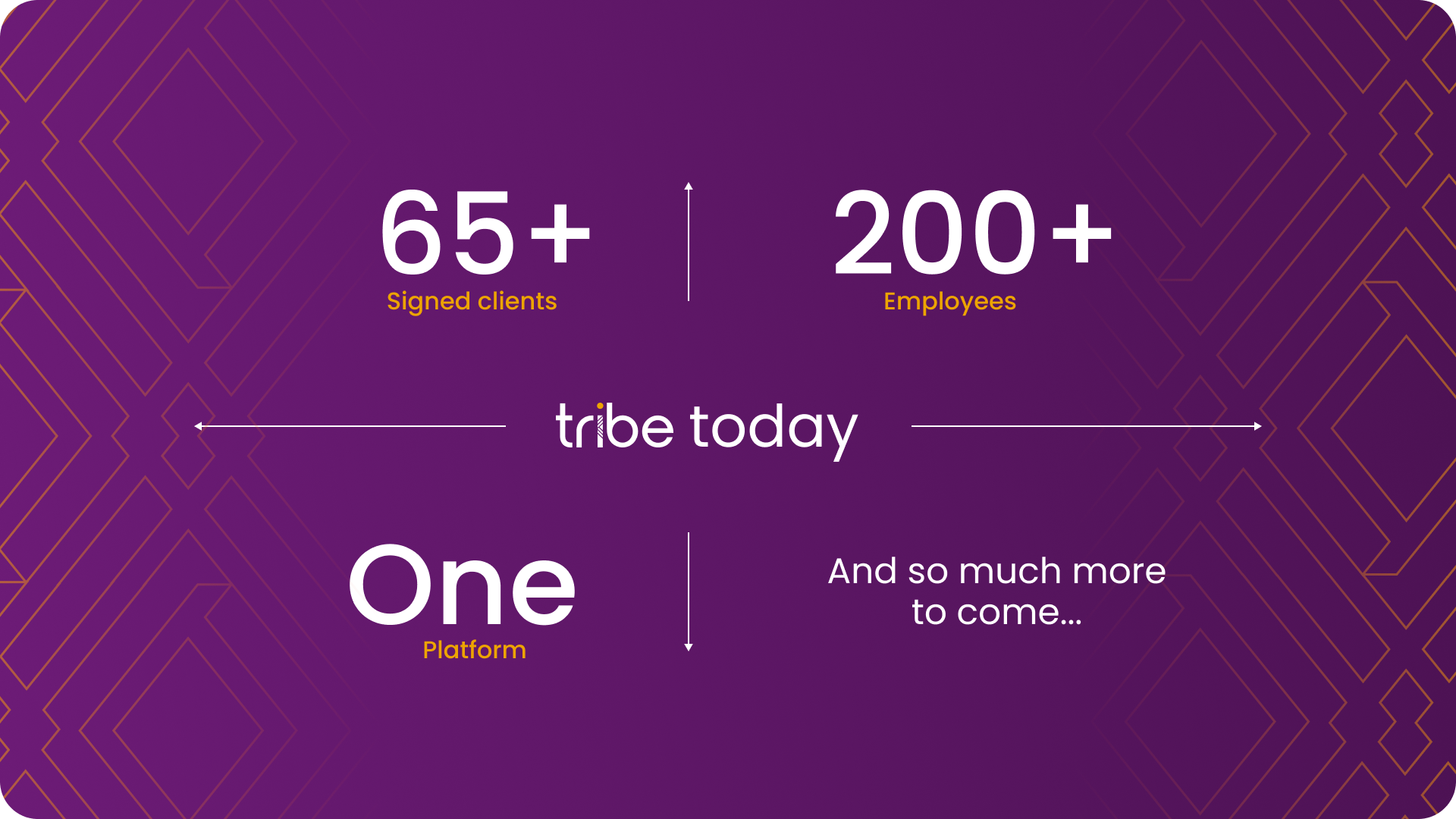 Tribe in numbers 2024 - September