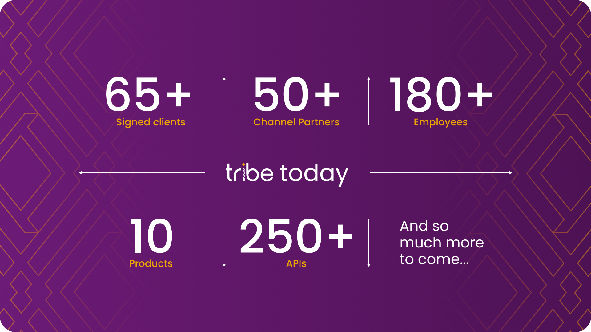 Tribe in numbers 2024 v2